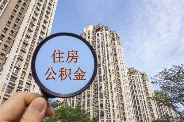 公积金还看征信吗吗_桦甸公积金代办在职离职封存服务